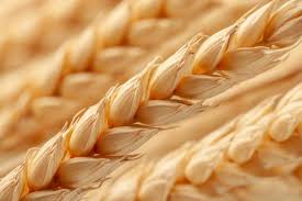 Close-up of golden wheat grains.
