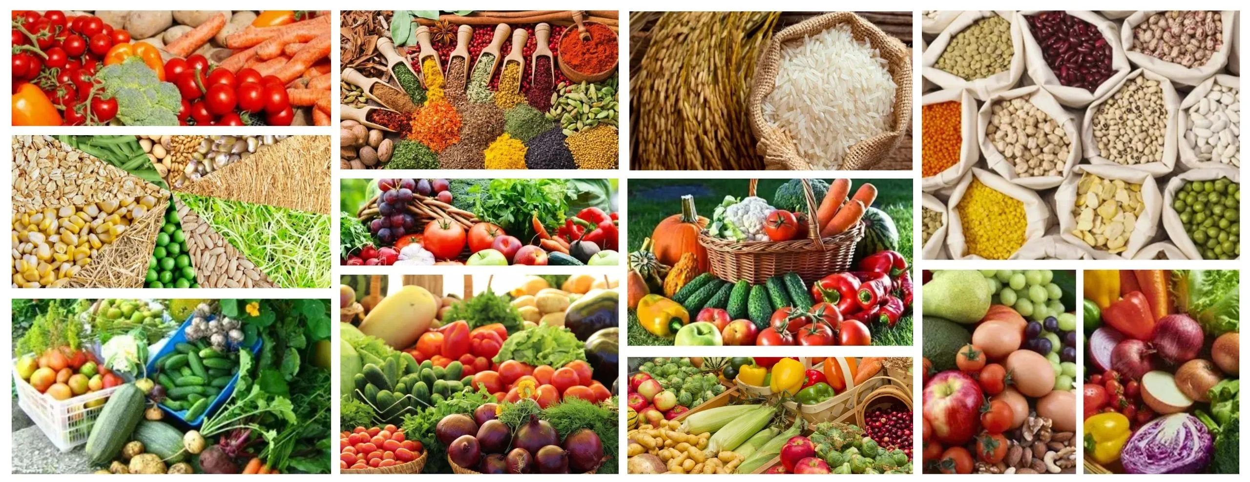A vast, sunlit wheat field, representing agricultural abundance.