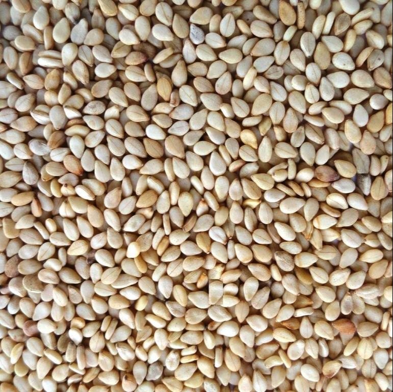 Sesame Seeds